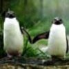 Qype User (Pengui…)